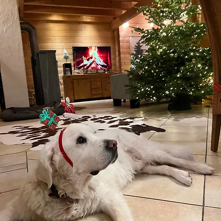 펜션 Luxus Blockhaus - Panoramablick, Direkt Am Skilift *